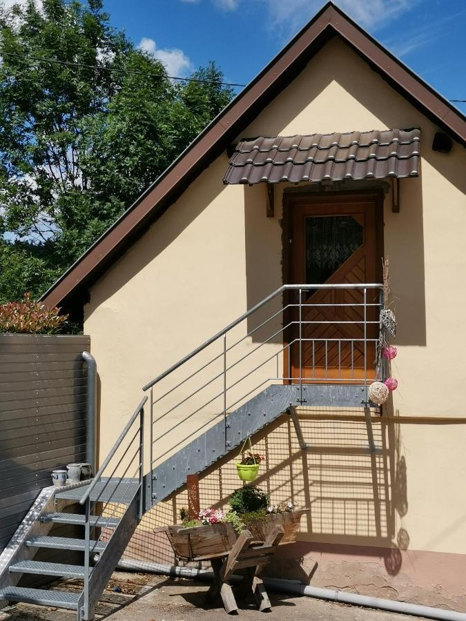 Gite Des Biches Birkenwald Екстер'єр фото